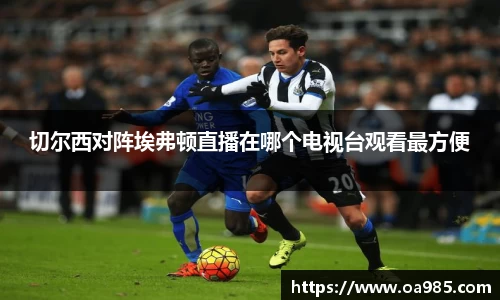 切尔西对阵埃弗顿直播在哪个电视台观看最方便